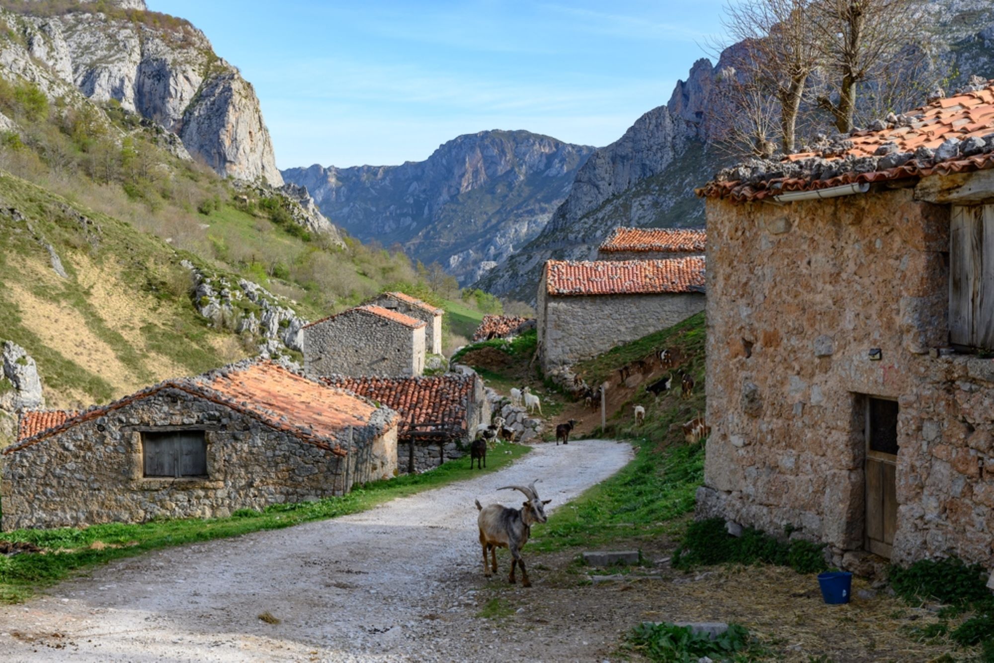 hiszpania